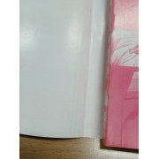 คุณหมอยอดนักสืบ PSYCHO DOCTOR KAI  KYOSUKE 4 (เล่มจบ) **รบกวนเลื่อนดูสภาพหนังสือก่อนการสั่งซื้อ**